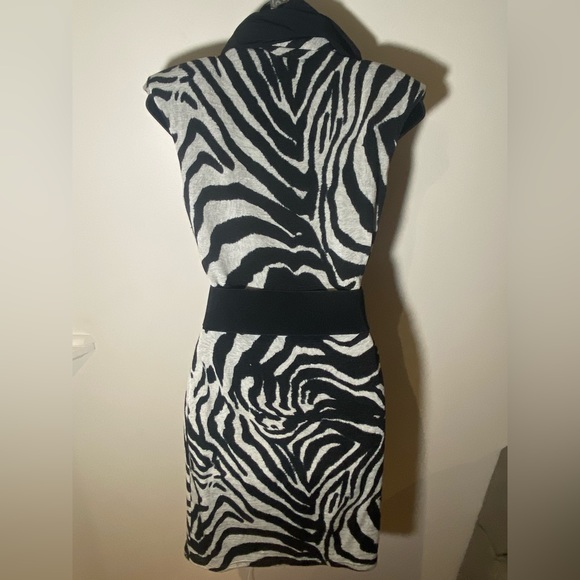 Joseph Ribkoff dress - Picture 6 of 9